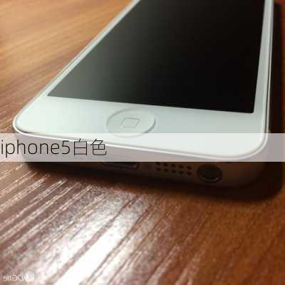 iphone5白色-第3张图片-模头数码科技网