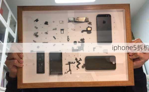 iphone5拆机-第3张图片-模头数码科技网