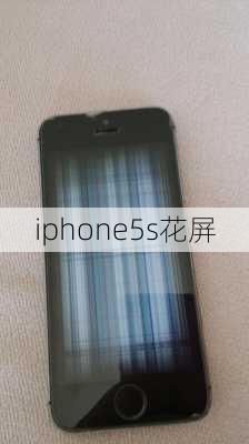 iphone5s花屏-第1张图片-模头数码科技网