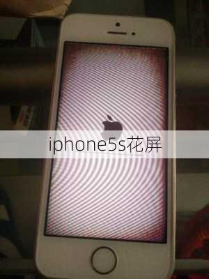 iphone5s花屏-第3张图片-模头数码科技网