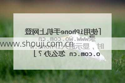 www.shouji.com.cn-第1张图片-模头数码科技网