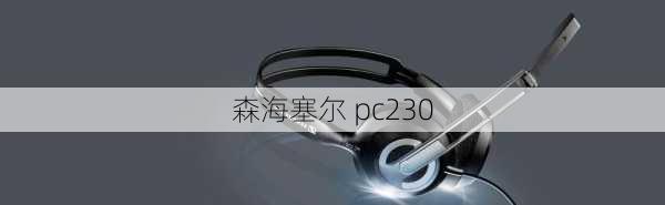 森海塞尔 pc230-第3张图片-模头数码科技网