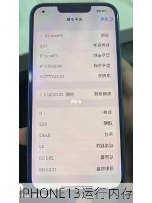 IPHONE13运行内存-第3张图片-模头数码科技网