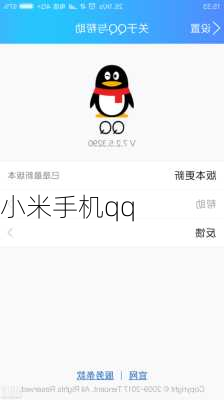 小米手机qq-第3张图片-模头数码科技网