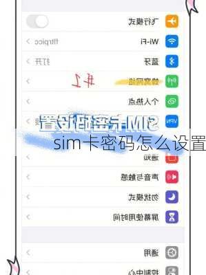 sim卡密码怎么设置-第3张图片-模头数码科技网