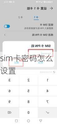 sim卡密码怎么设置-第2张图片-模头数码科技网