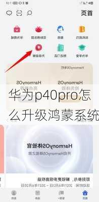 华为p40pro怎么升级鸿蒙系统-第2张图片-模头数码科技网