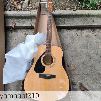 yamahaf310-第2张图片-模头数码科技网