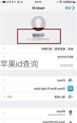 苹果id查询-第1张图片-模头数码科技网