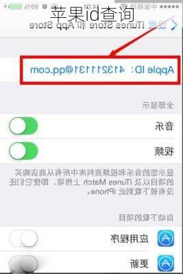 苹果id查询-第2张图片-模头数码科技网