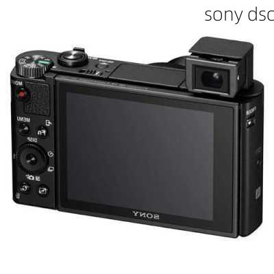 sony dsc-第3张图片-模头数码科技网