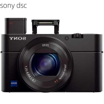 sony dsc-第2张图片-模头数码科技网