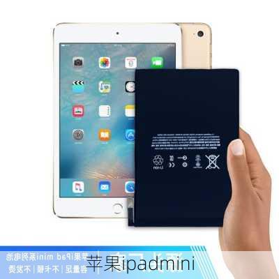 苹果ipadmini-第3张图片-模头数码科技网