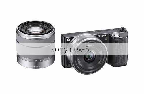 sony nex-5c-第3张图片-模头数码科技网