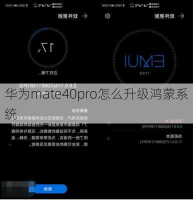 华为mate40pro怎么升级鸿蒙系统-第3张图片-模头数码科技网