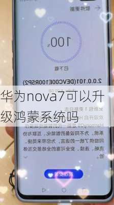 华为nova7可以升级鸿蒙系统吗-第1张图片-模头数码科技网