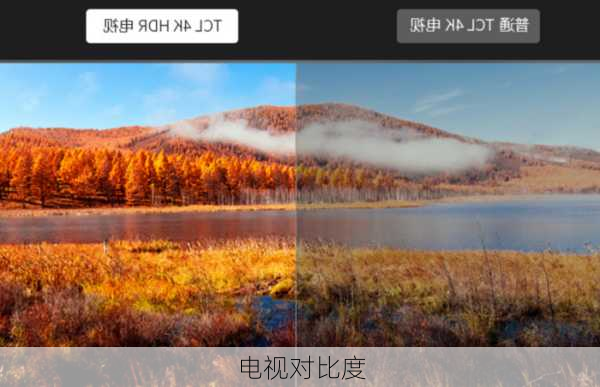 电视对比度-第1张图片-模头数码科技网