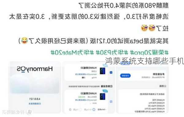 鸿蒙系统支持哪些手机-第3张图片-模头数码科技网