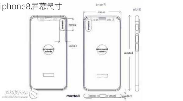 iphone8屏幕尺寸-第3张图片-模头数码科技网