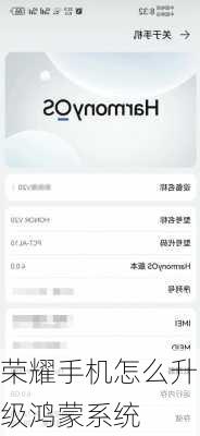 荣耀手机怎么升级鸿蒙系统-第2张图片-模头数码科技网