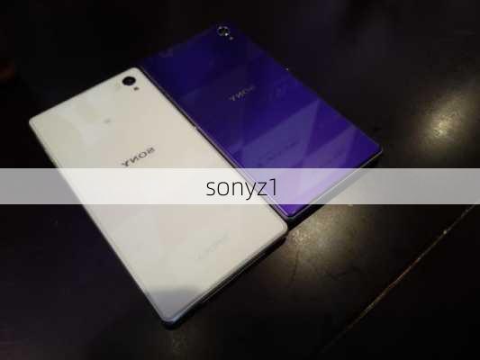 sonyz1