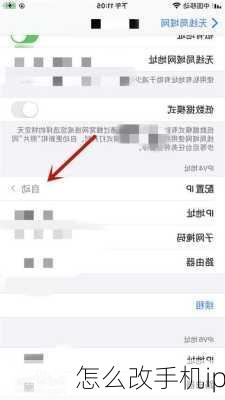 怎么改手机ip-第3张图片-模头数码科技网