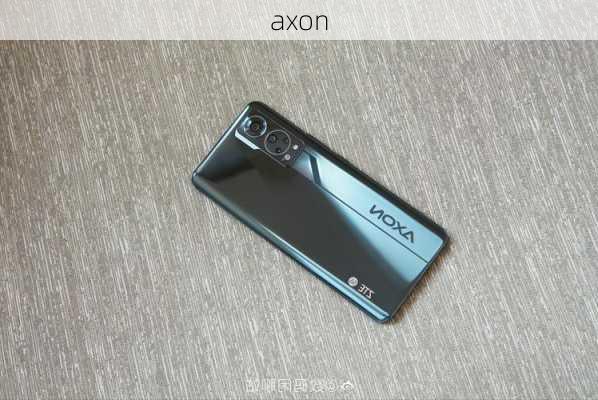 axon