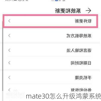 mate30怎么升级鸿蒙系统-第1张图片-模头数码科技网