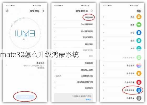 mate30怎么升级鸿蒙系统-第3张图片-模头数码科技网