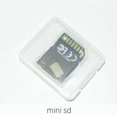 mini sd-第2张图片-模头数码科技网