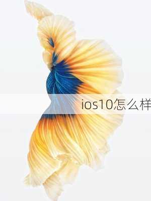 ios10怎么样-第2张图片-模头数码科技网