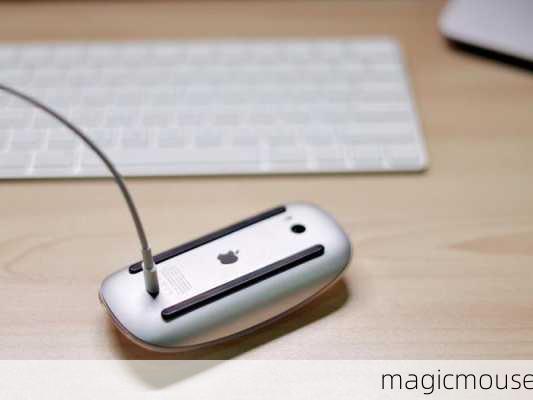 magicmouse-第2张图片-模头数码科技网