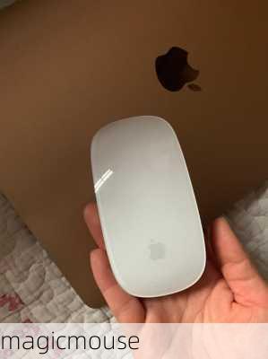 magicmouse-第1张图片-模头数码科技网