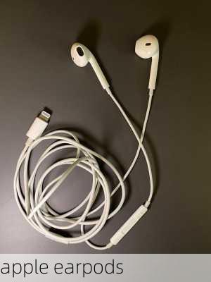 apple earpods-第3张图片-模头数码科技网