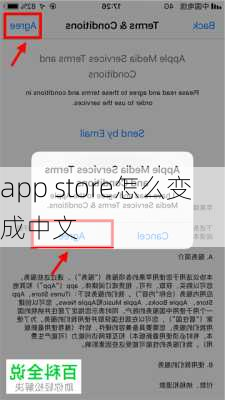 app store怎么变成中文-第3张图片-模头数码科技网