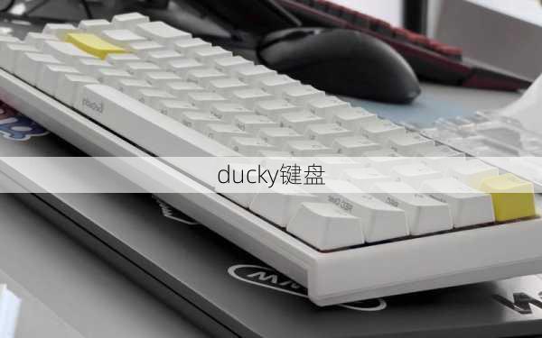 ducky键盘-第2张图片-模头数码科技网