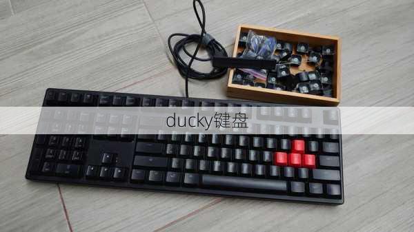 ducky键盘-第3张图片-模头数码科技网