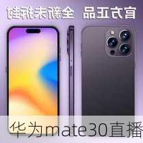 华为mate30直播-第1张图片-模头数码科技网