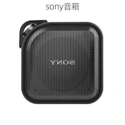 sony音箱-第1张图片-模头数码科技网