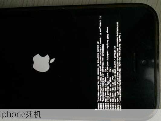 iphone死机-第2张图片-模头数码科技网