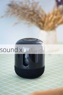 sound x-第3张图片-模头数码科技网