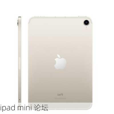 ipad mini 论坛-第1张图片-模头数码科技网