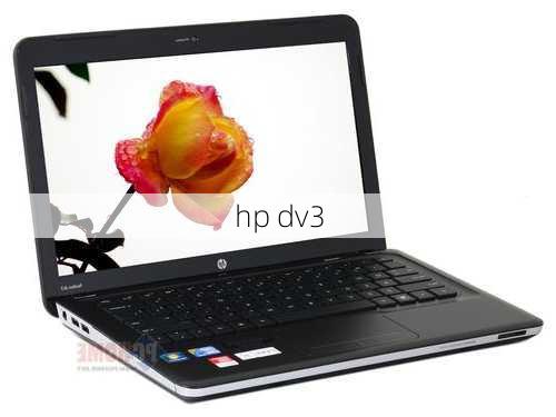 hp dv3-第1张图片-模头数码科技网