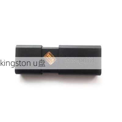 kingston u盘-第1张图片-模头数码科技网