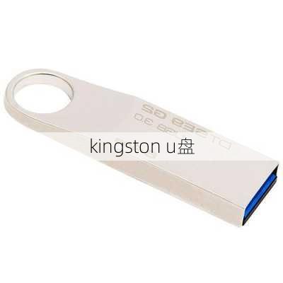 kingston u盘-第2张图片-模头数码科技网