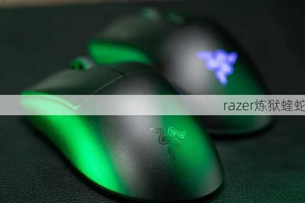 razer炼狱蝰蛇-第1张图片-模头数码科技网