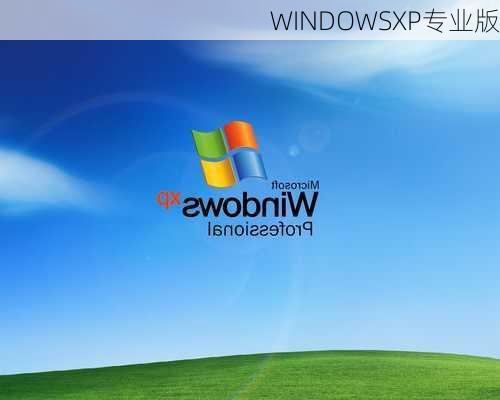 WINDOWSXP专业版-第3张图片-模头数码科技网