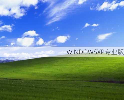 WINDOWSXP专业版-第2张图片-模头数码科技网