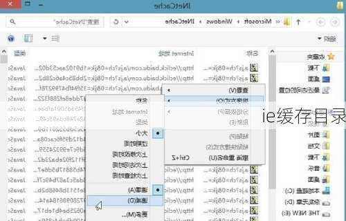 ie缓存目录-第1张图片-模头数码科技网