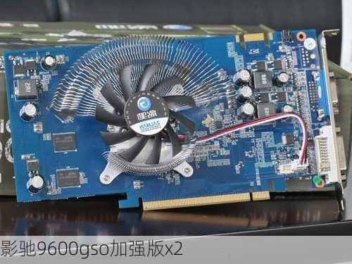 影驰9600gso加强版x2-第1张图片-模头数码科技网